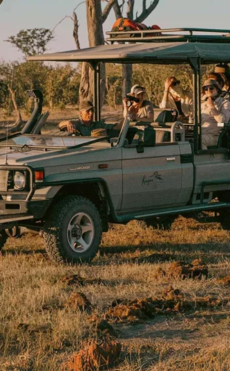 Travellers enjoy a wildlife safari in an open game drive vehicle on the Contiki Best of Botswana & Namibia Tour