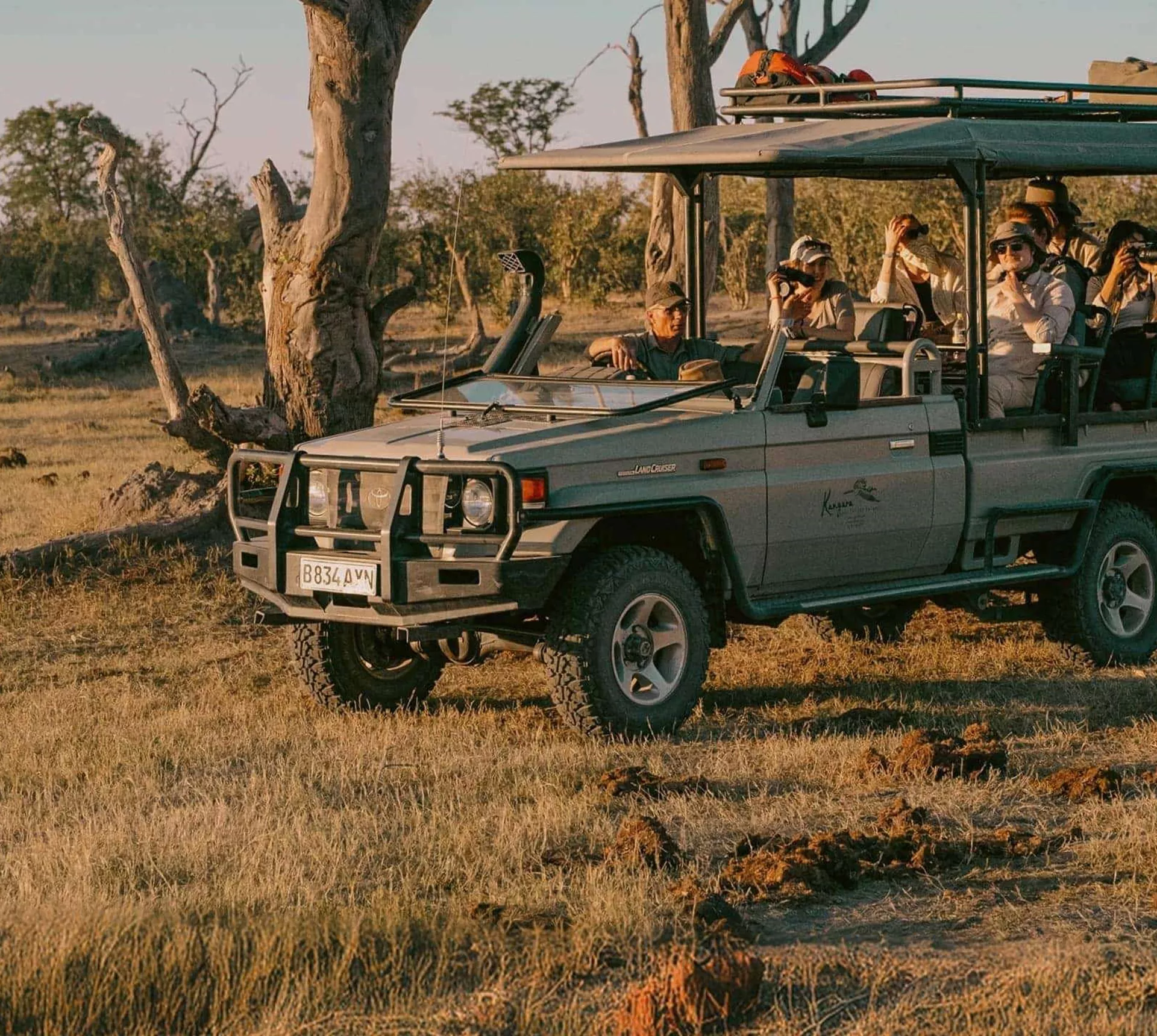 Travellers enjoy a wildlife safari in an open game drive vehicle on the Contiki Best of Botswana & Namibia Tour