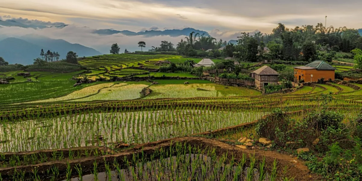Visit Vietnam With Contiki 3 Min