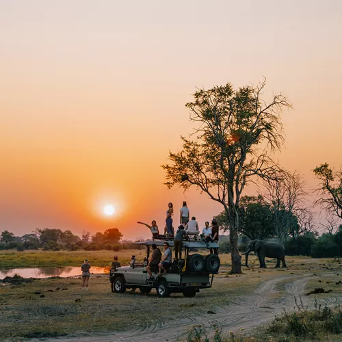 Okavango Delta and Deserts Reunion 35-45 Trip