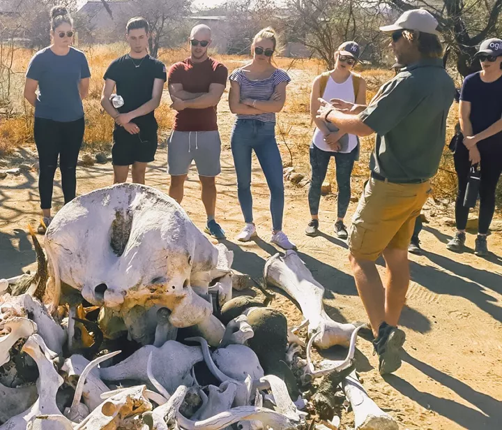 Learn how these ProTrack rangers protect the Big Five from poaching, South Africa