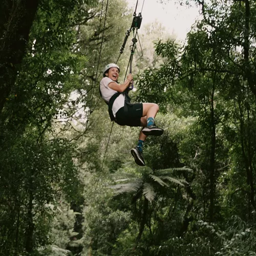 Traveller ziplining through native forest in New Zealand - Contiki North Island & Kaikōura Tour
