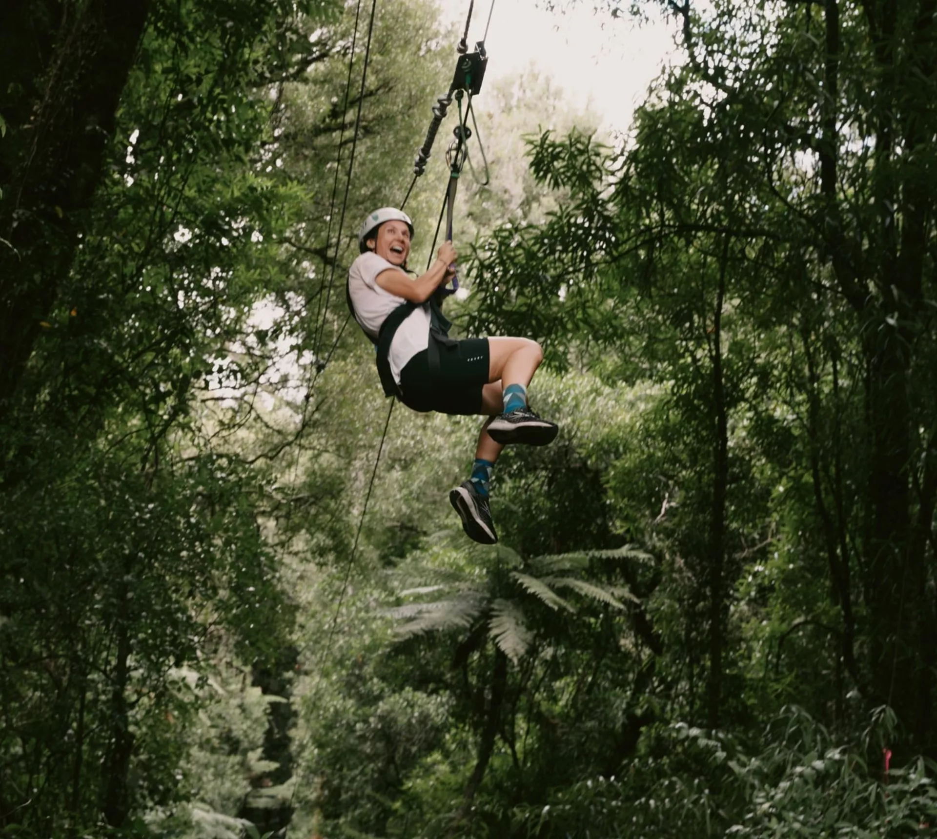 Traveller ziplining through native forest in New Zealand - Contiki North Island & Kaikōura Tour