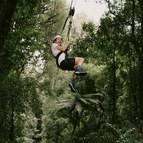 Traveller ziplining through native forest in New Zealand - Contiki North Island & Kaikōura Tour
