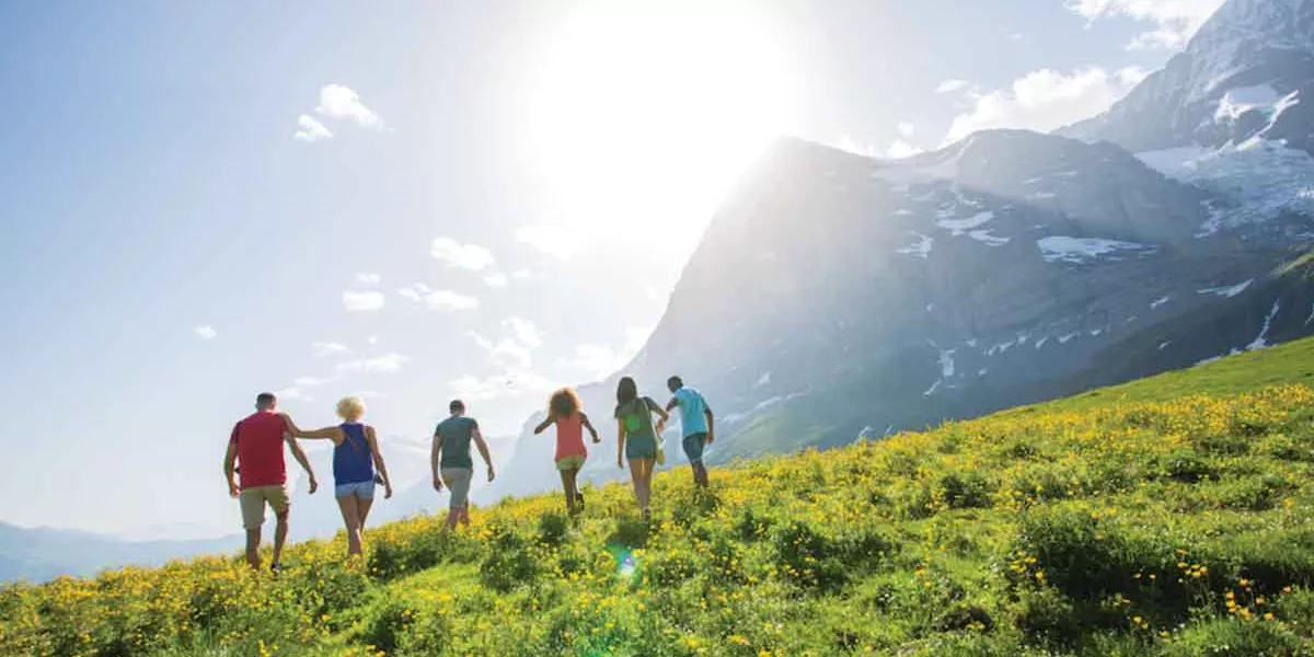 Group Walking In Austrian Alps