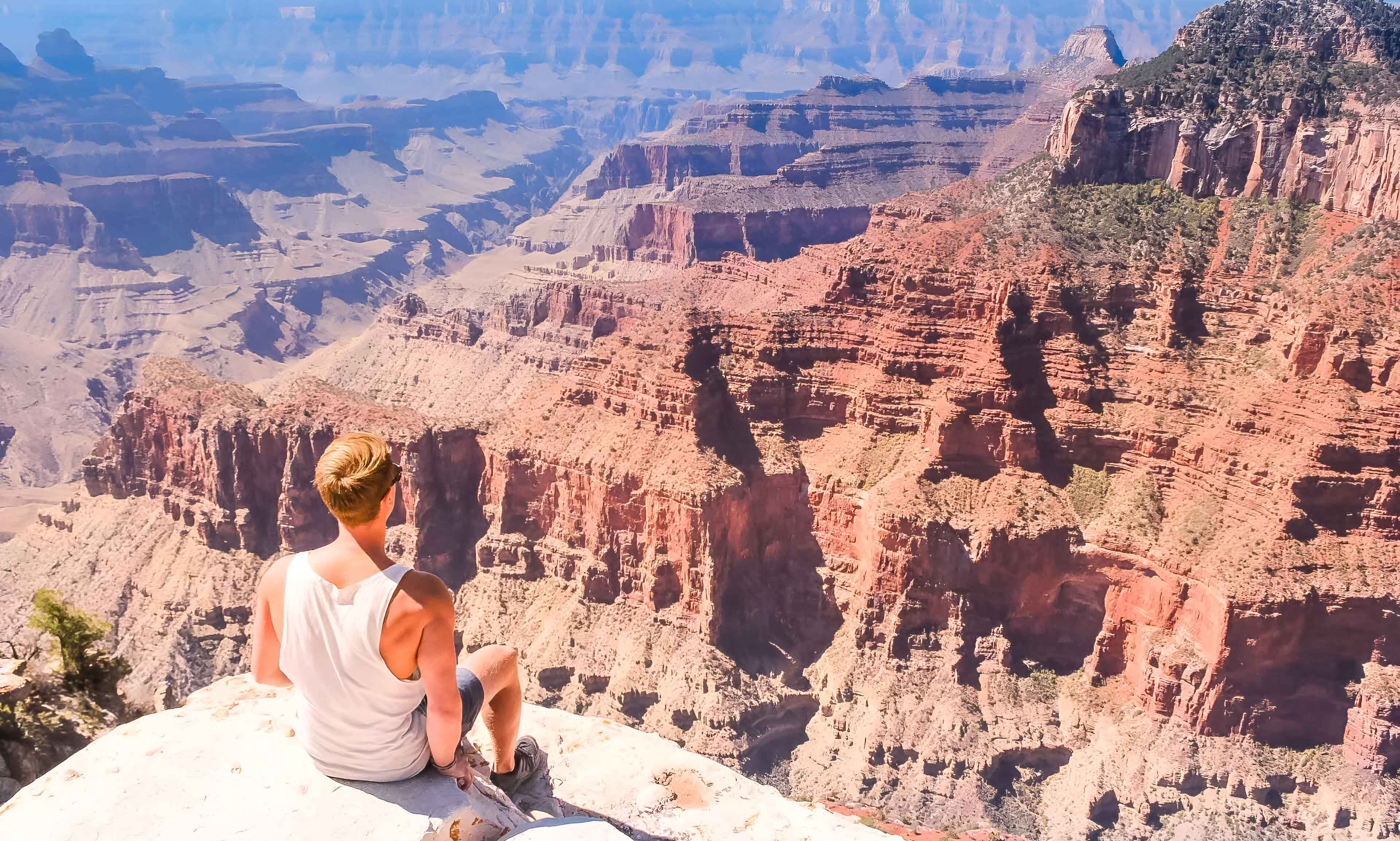 Man Looking At The Gran Canyon