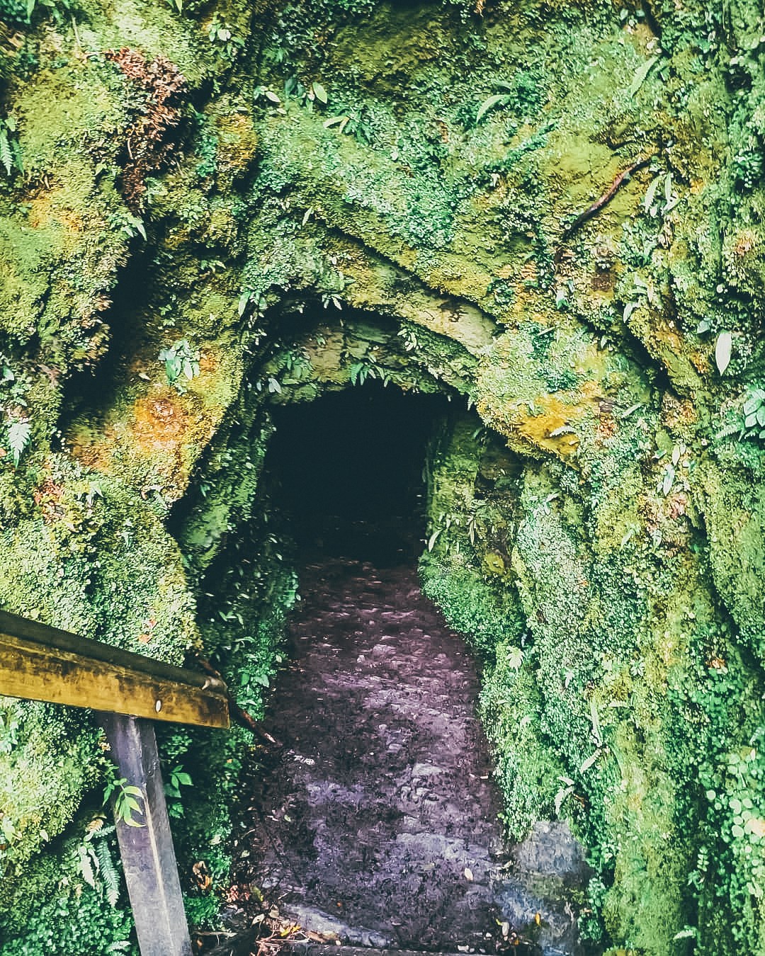 Stairs to the Glow Worm Caves in Te Anau, New Zealand