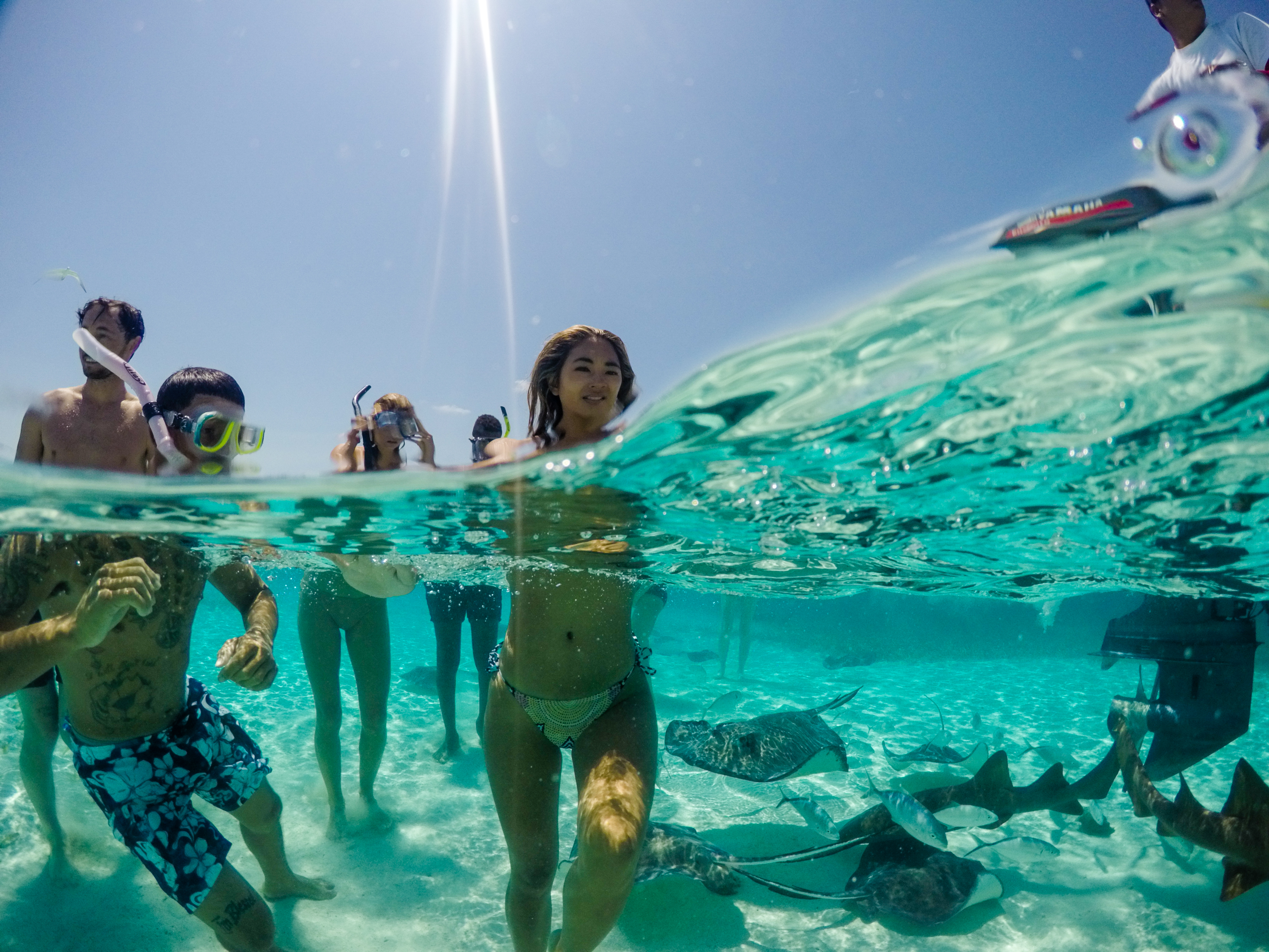 Travellers swimming in the sea with fish