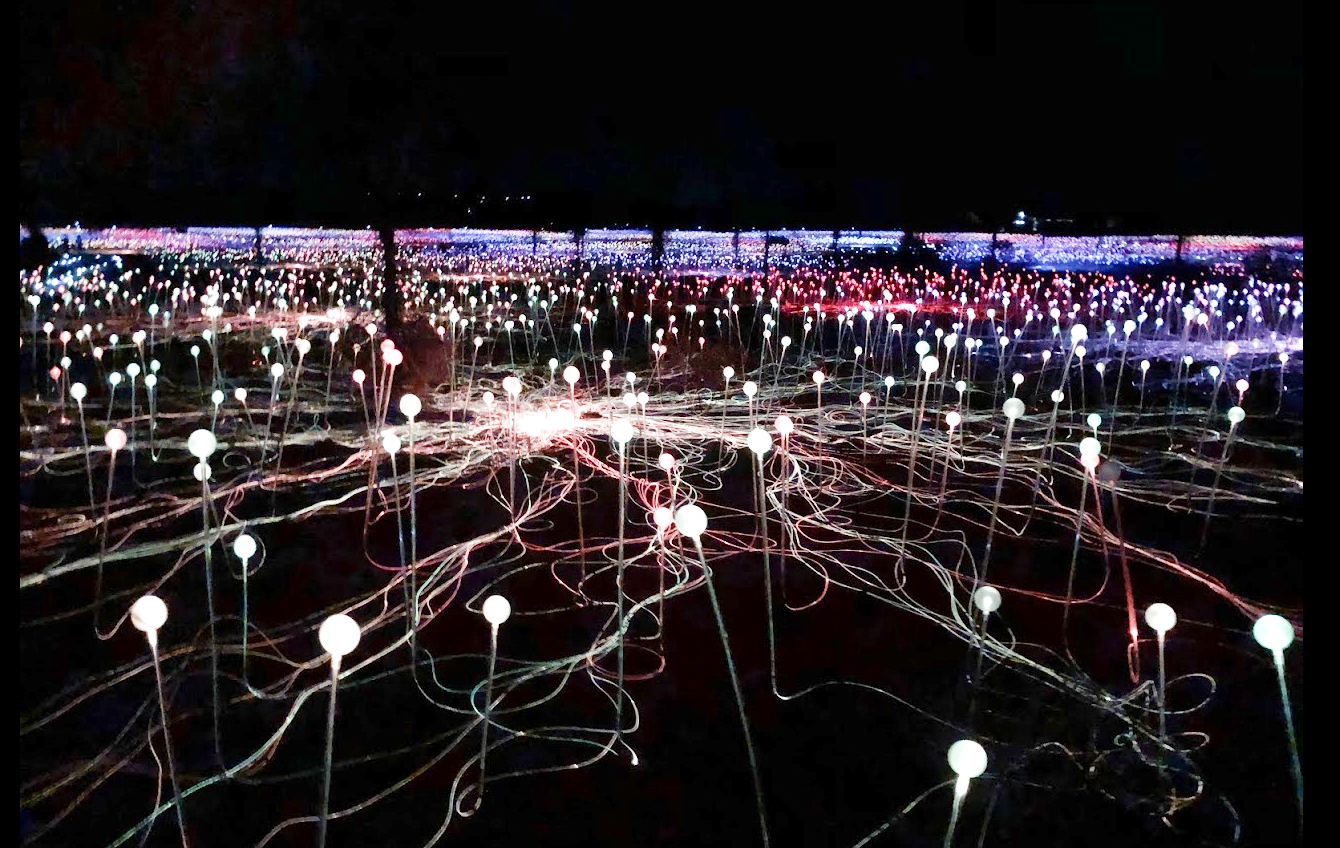 Field of Lights in Uluru, Australia