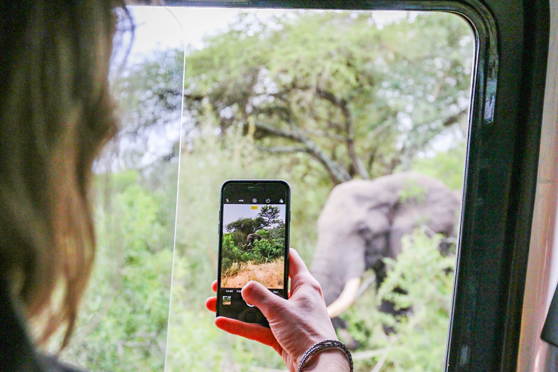 Take a Morning Game Drive at Kruger