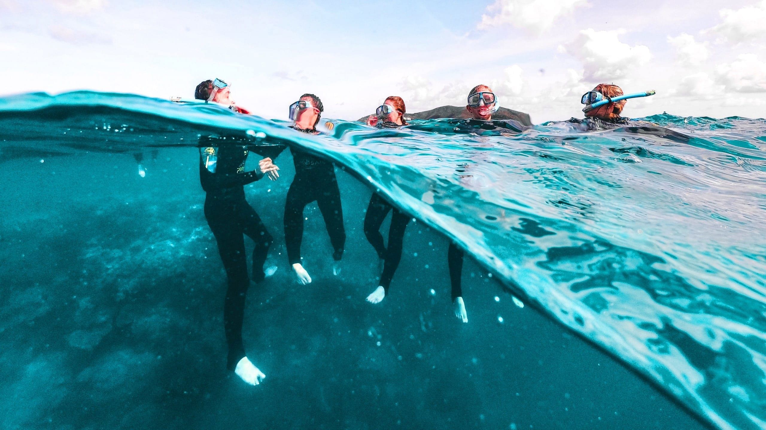 Travellers snorkelling on the Great Barrier Reef in Australia during the Contiki Snorkel & Dive Tour