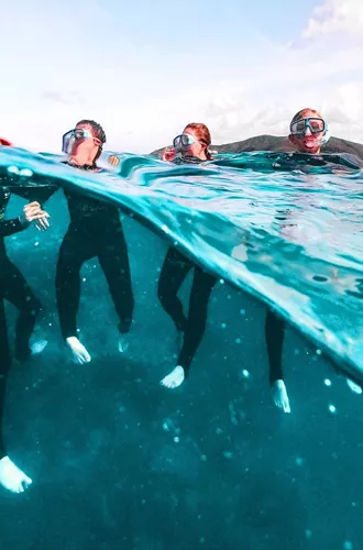 Travellers snorkelling on the Great Barrier Reef in Australia during the Contiki Snorkel & Dive Tour