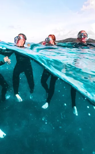 Travellers snorkelling on the Great Barrier Reef in Australia during the Contiki Snorkel & Dive Tour