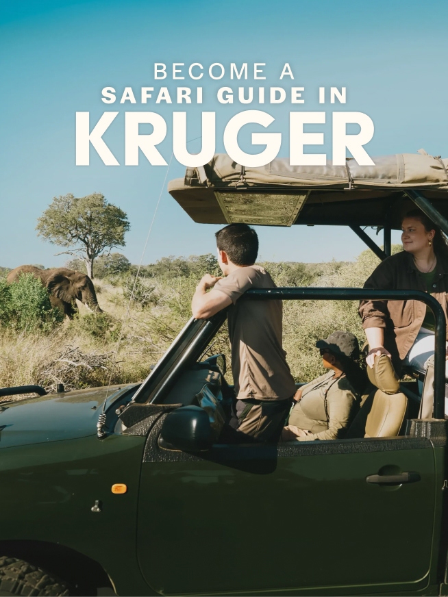 Become a Safari Guide in Kruger Tour