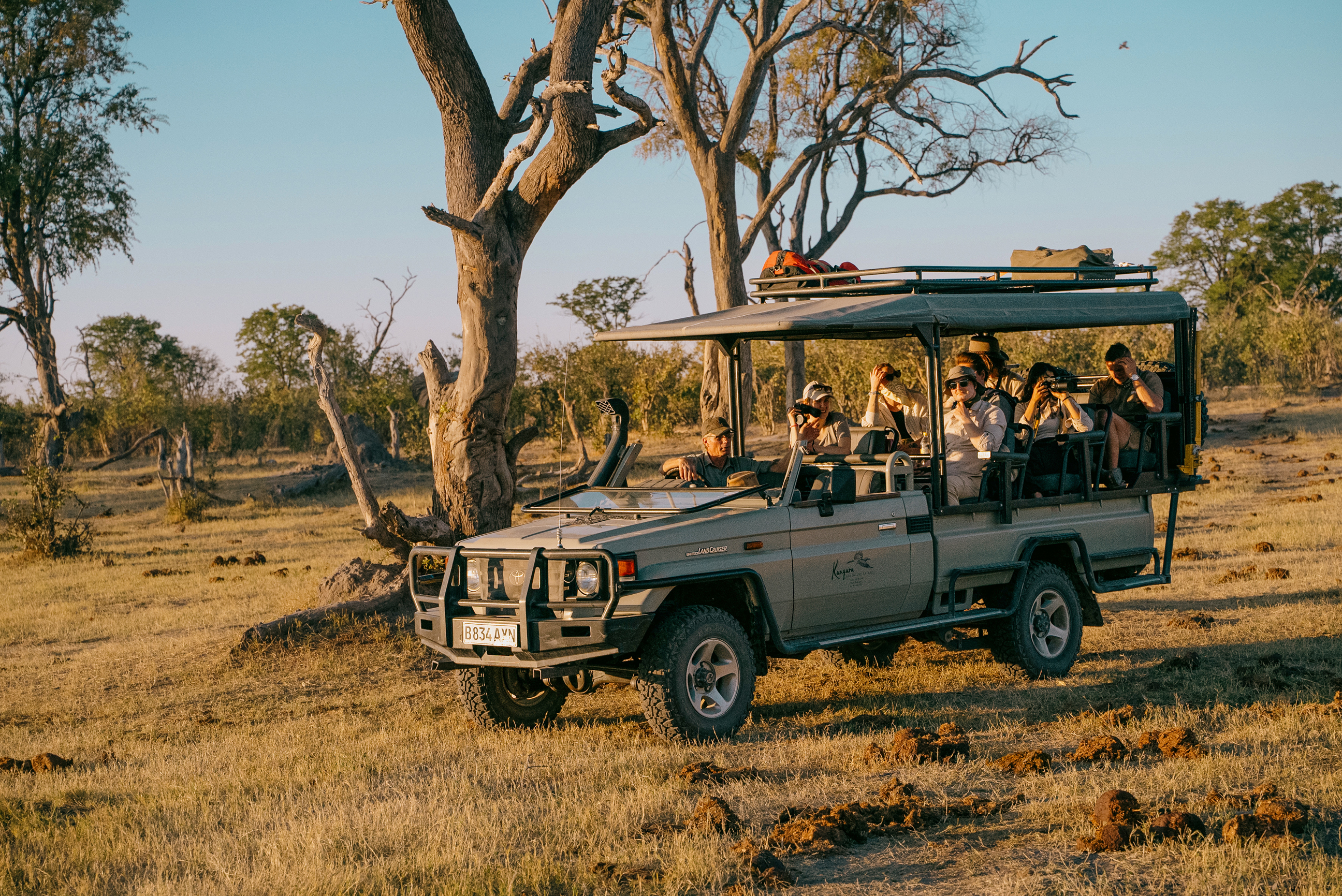 Take an afternoon Game Drive in the Okavango Delta