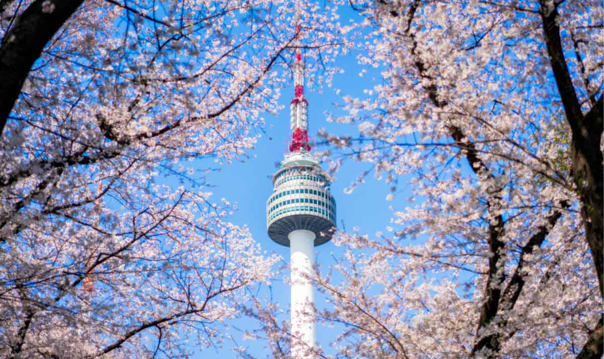 Things To Do In South Korea Six Two