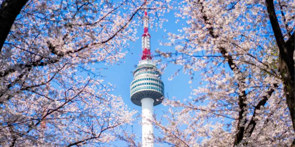 Things To Do In South Korea Six Two