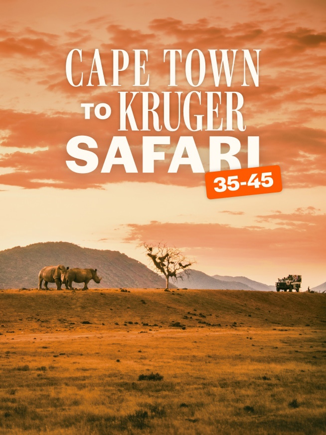 Cape Town to Kruger Safari 35 to 45 Tour
