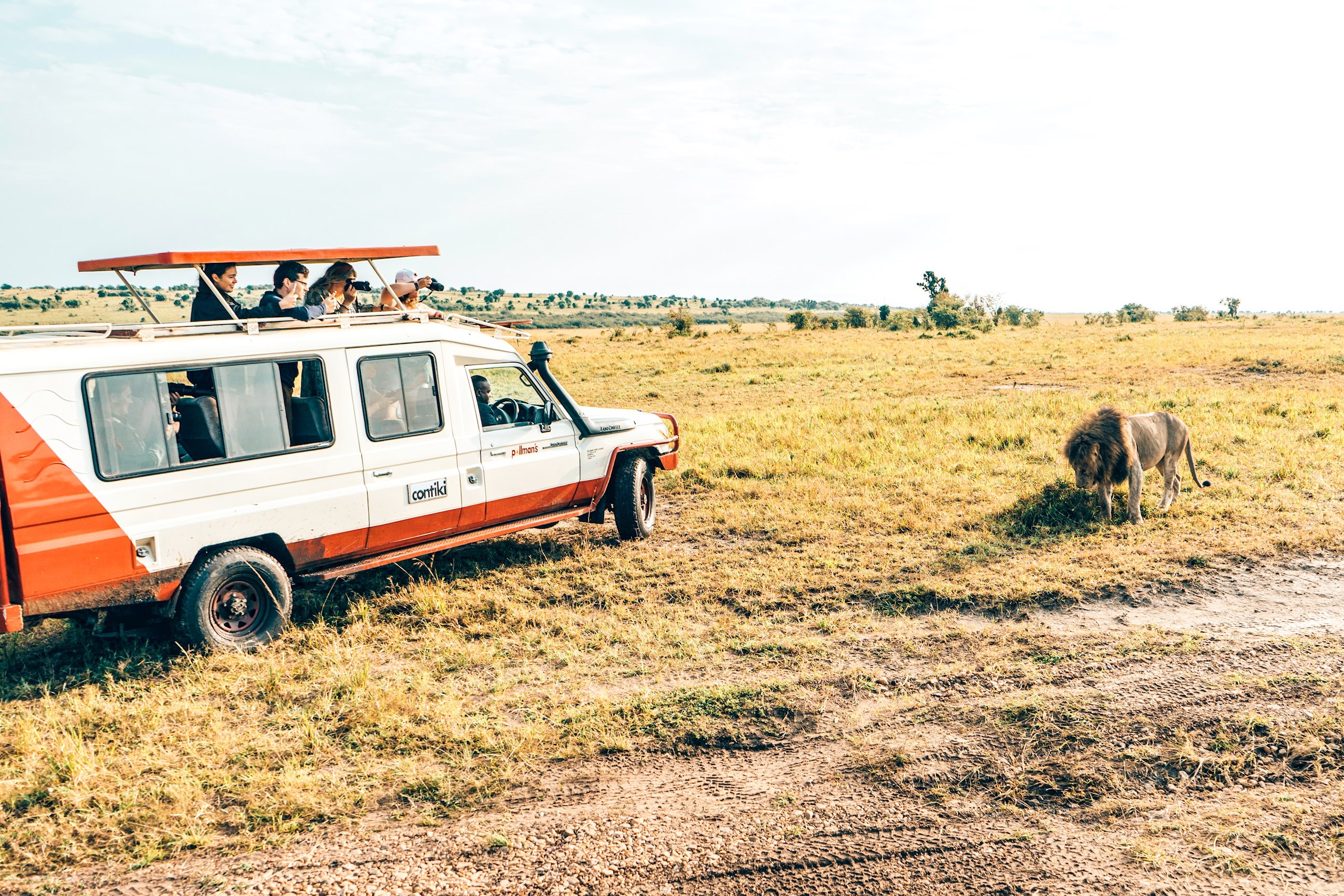 Take a Game Drive through Ngorongoro Crater