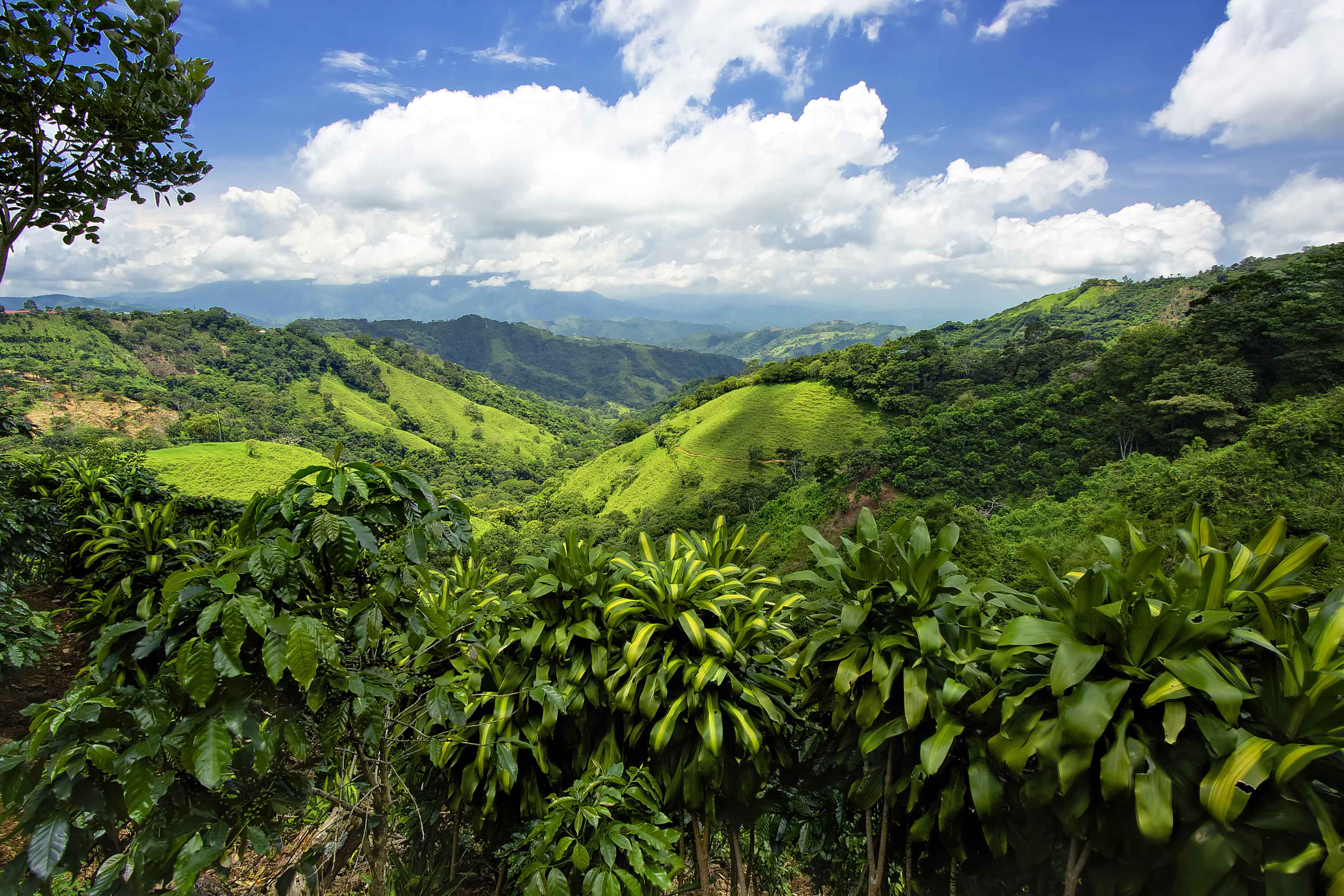 Beautiful Views Over The Green Hills Of Costa Rica