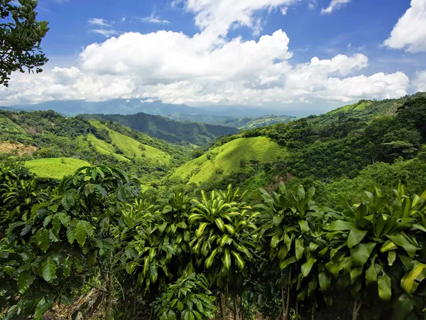 Beautiful Views Over The Green Hills Of Costa Rica