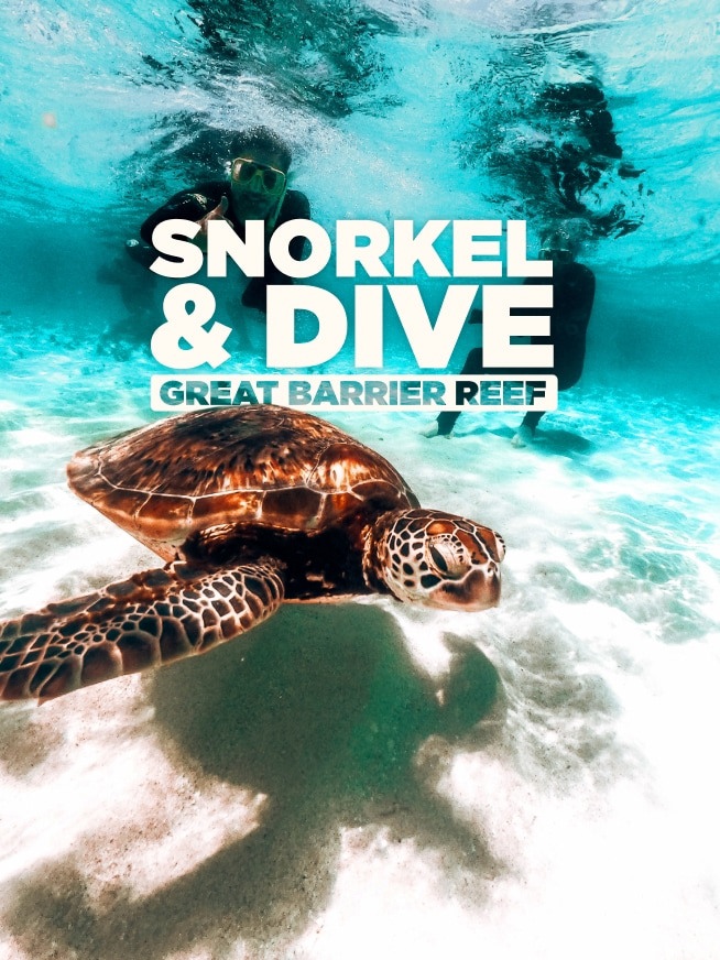 Snorkel & Dive: Great Barrier Reef Tour