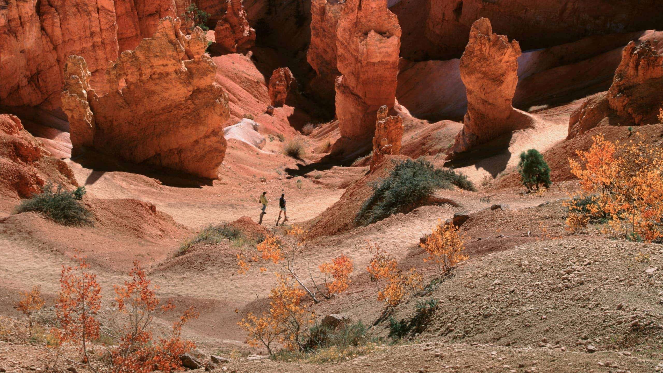 Contiki travellers hiking among the towering red rock hoodoos of Bryce Canyon National Park, Utah, on the Dallas to Los Angeles Tour