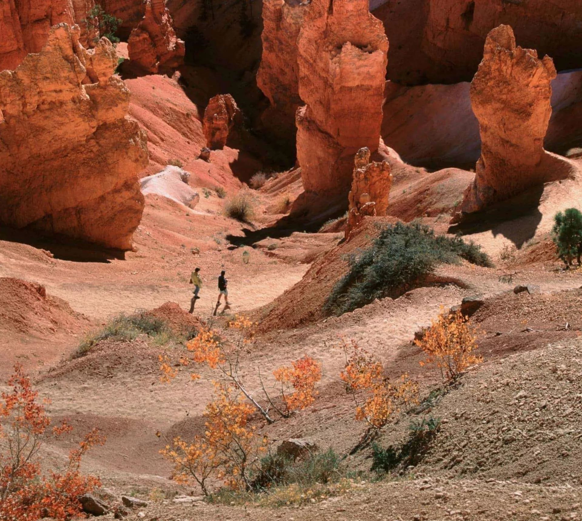 Contiki travellers hiking among the towering red rock hoodoos of Bryce Canyon National Park, Utah, on the Dallas to Los Angeles Tour