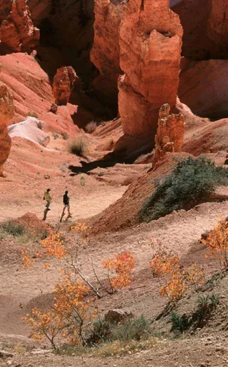 Contiki travellers hiking among the towering red rock hoodoos of Bryce Canyon National Park, Utah, on the Dallas to Los Angeles Tour