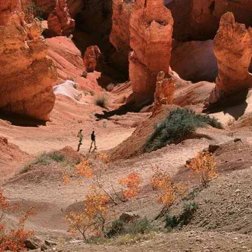 Contiki travellers hiking among the towering red rock hoodoos of Bryce Canyon National Park, Utah, on the Dallas to Los Angeles Tour