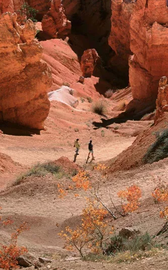 Contiki travellers hiking among the towering red rock hoodoos of Bryce Canyon National Park, Utah, on the Dallas to Los Angeles Tour