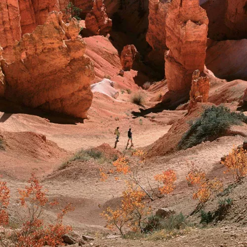 Contiki travellers hiking among the towering red rock hoodoos of Bryce Canyon National Park, Utah, on the Dallas to Los Angeles Tour