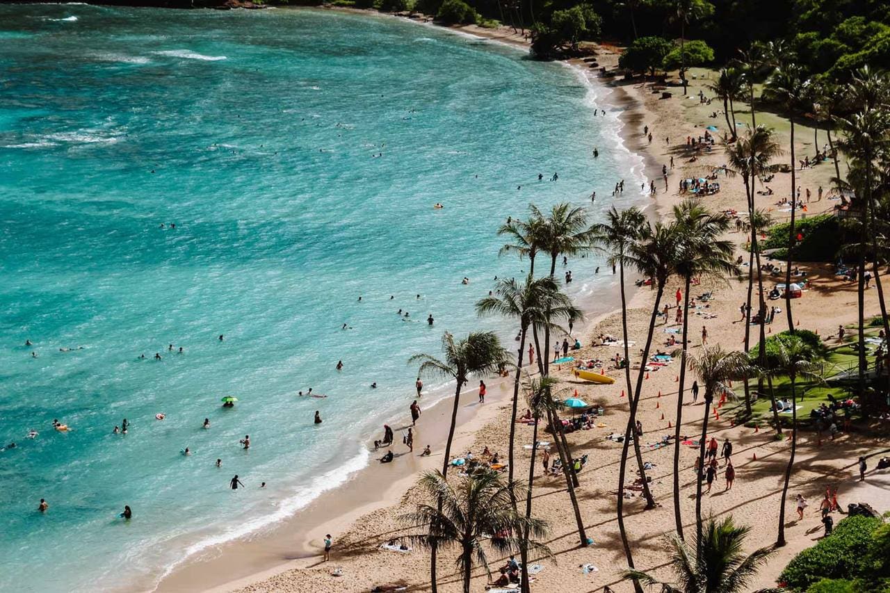 Crowded beach with palms and people swimming in the ocean in Hawaii, USA