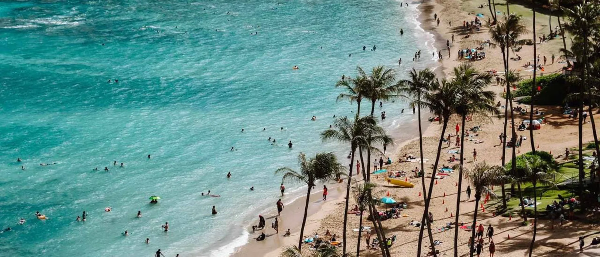 Crowded beach with palms and people swimming in the ocean in Hawaii, USA