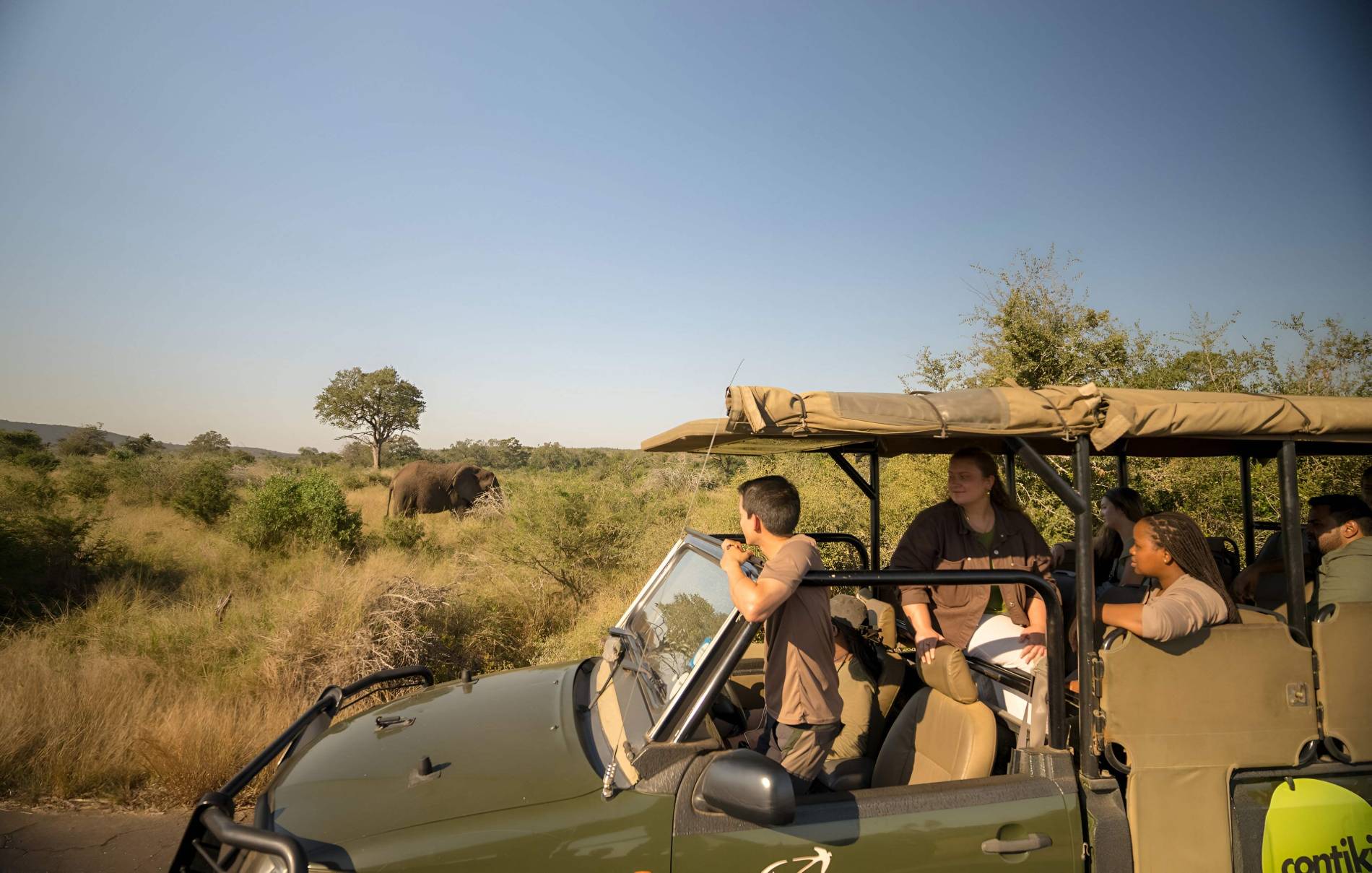 People enjoying a safari looking at elephants