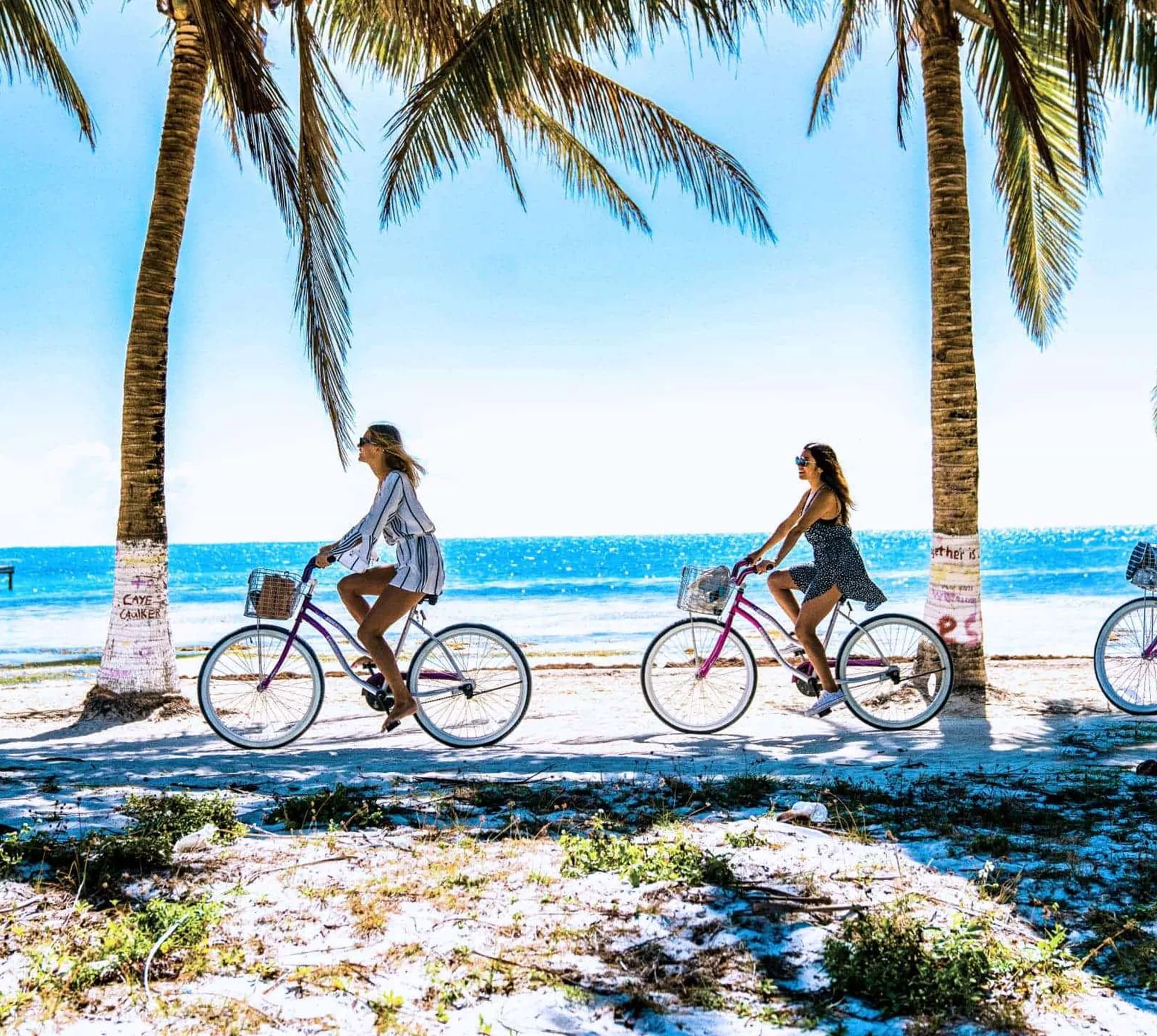 Three young travellers cycling on beach cruiser bikes along the sandy palm-lined seafront of Caye Caulker island in Belize - Contiki Mexico City to San Jose Tour