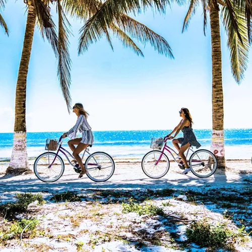 Three young travellers cycling on beach cruiser bikes along the sandy palm-lined seafront of Caye Caulker island in Belize - Contiki Mexico City to San Jose Tour