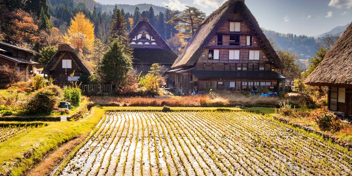 Traditional Historical Japanese Village Ogimachi Shirakawa