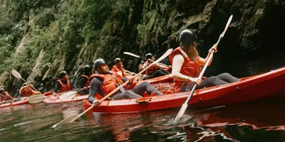 Travellers kayaking through the river on Contiki's Garden Route & Addo Tour in South Africa