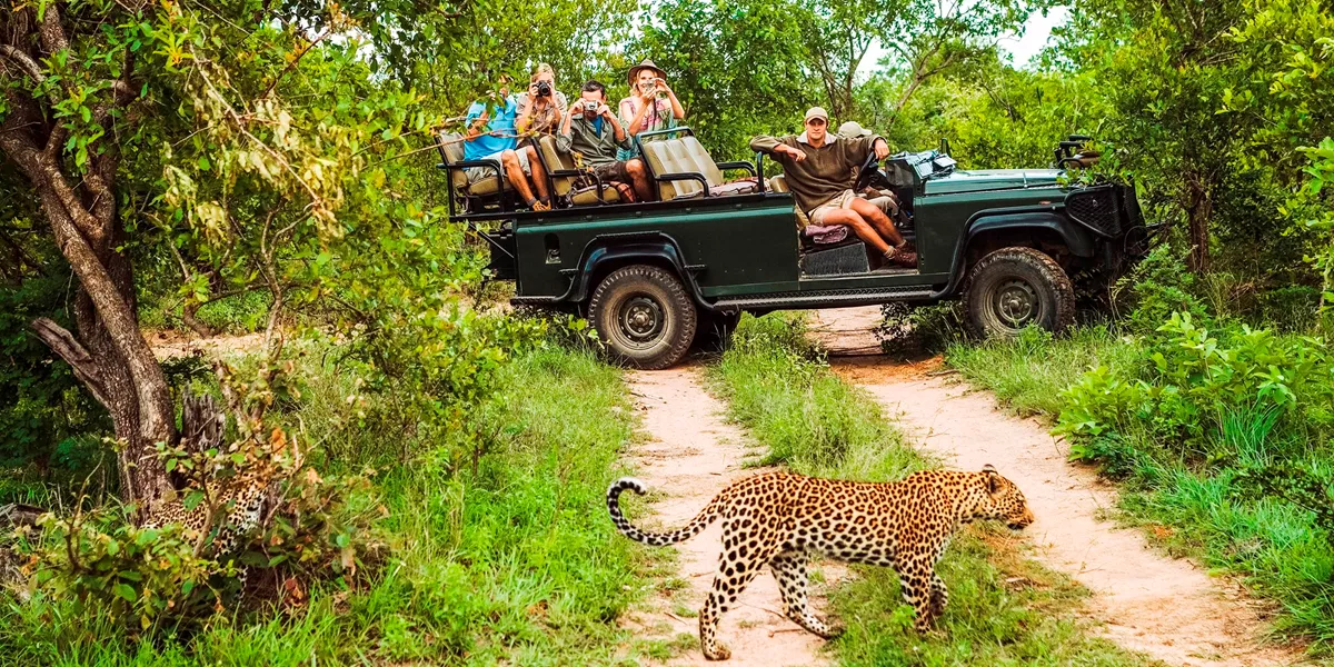 Kruger Safari with Eswatini and Zulu Trip