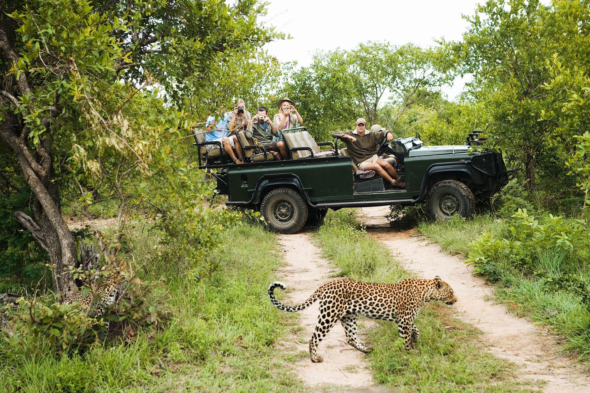 Kruger Safari with Eswatini Trip