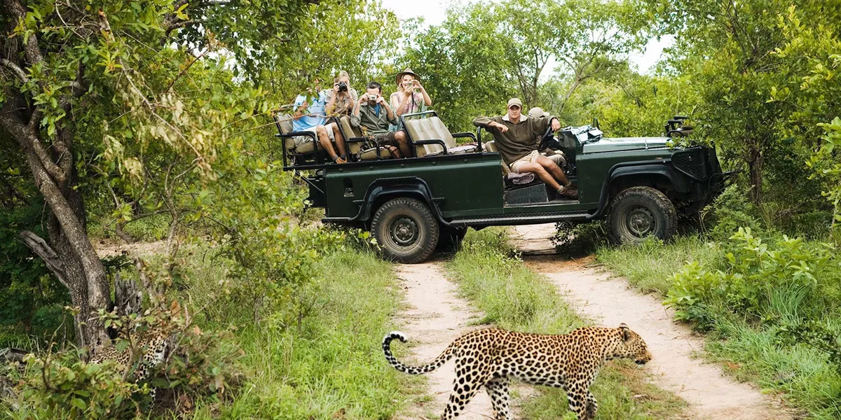 Kruger Safari with Eswatini Trip