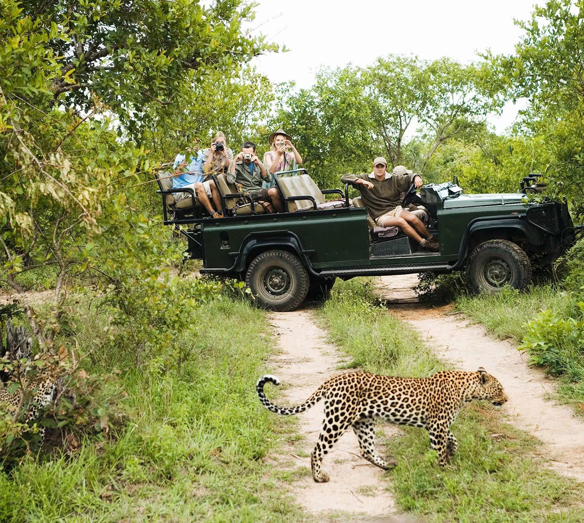 Kruger Safari with Eswatini Trip