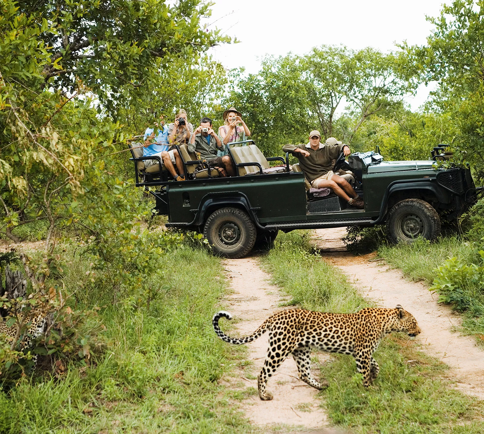 Kruger Safari with Eswatini Trip