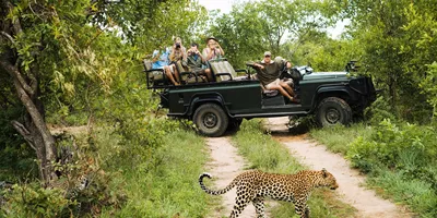 Kruger Safari with Eswatini Trip