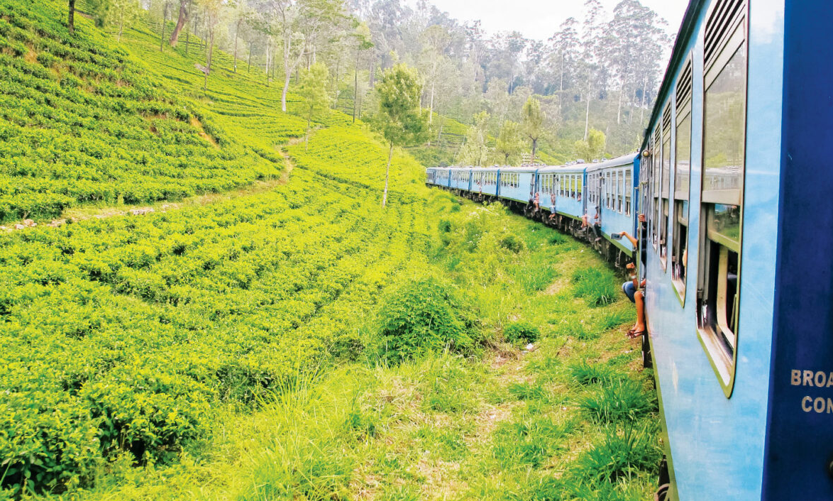 Train Driving Through Sri Lanka