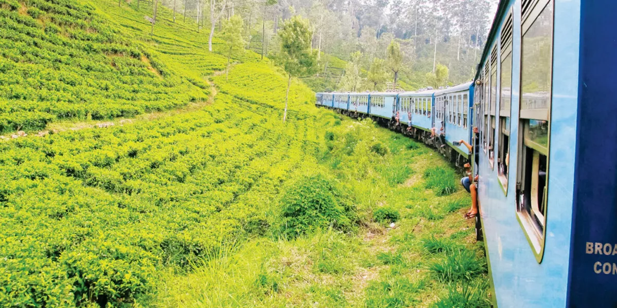 Train Driving Through Sri Lanka