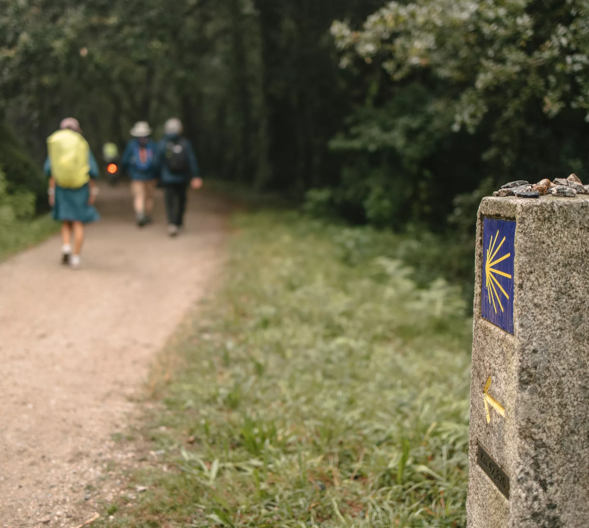 Hiking the Camino de Santiago Trip
