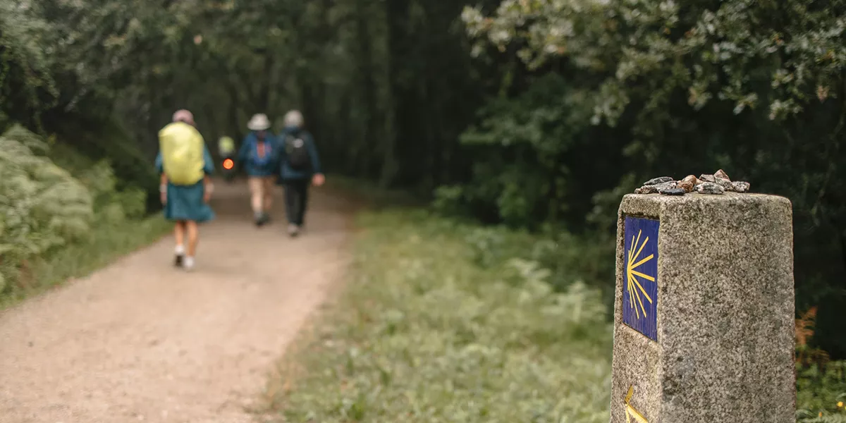 Hiking the Camino de Santiago Trip