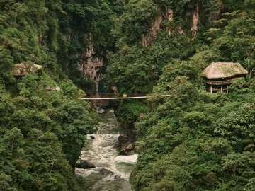 Suspension bridge over a rushing river gorge through dense cloud forest near Baños de Agua Santa Ecuador - Contiki Ecuador Tour